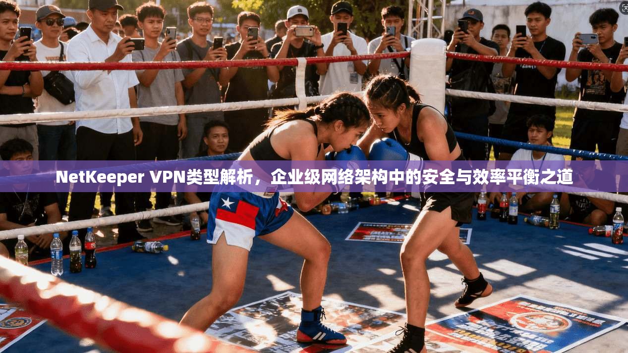 NetKeeper VPN类型解析，企业级网络架构中的安全与效率平衡之道  第1张