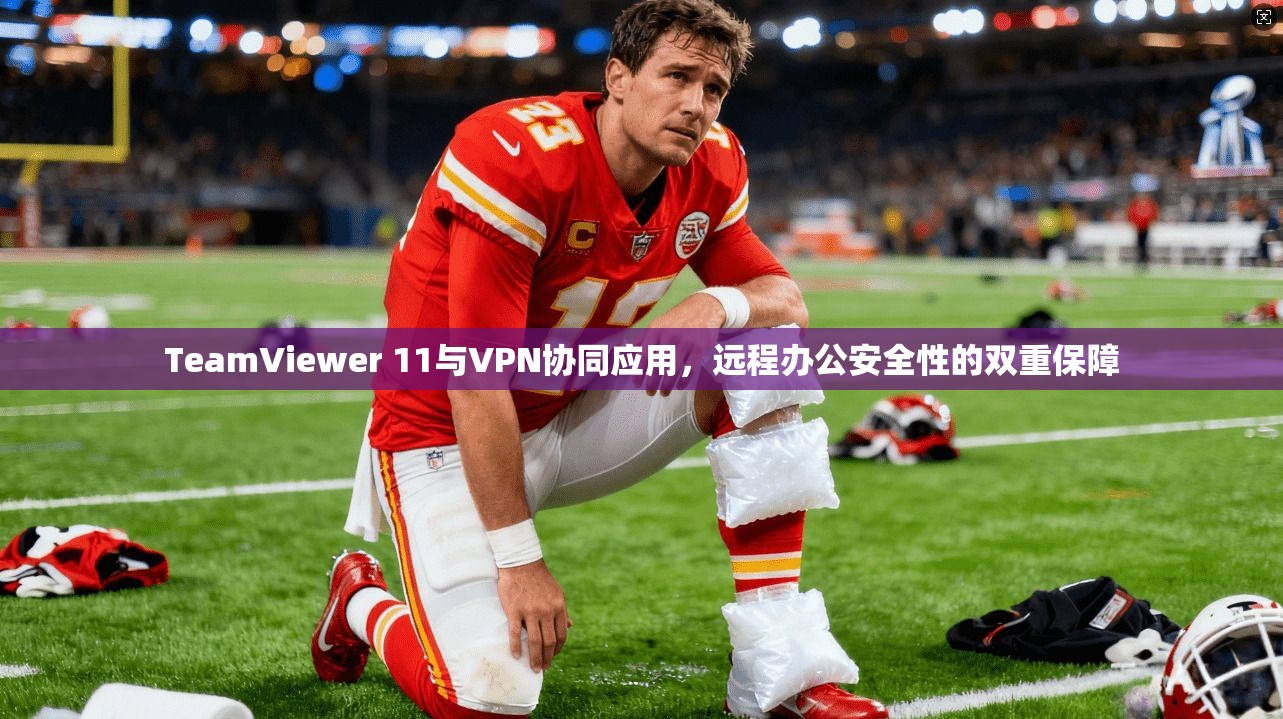 TeamViewer 11与VPN协同应用，远程办公安全性的双重保障  第1张