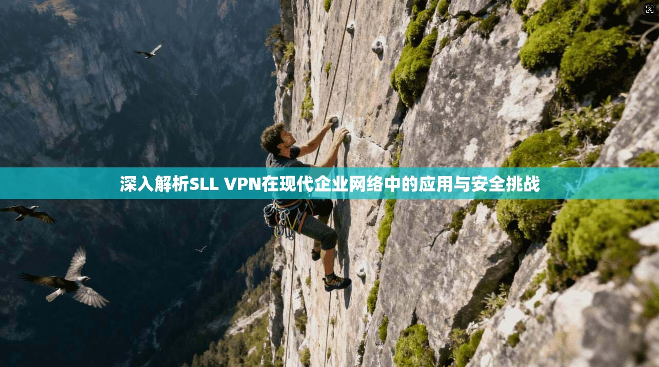 深入解析SLL VPN在现代企业网络中的应用与安全挑战  第1张