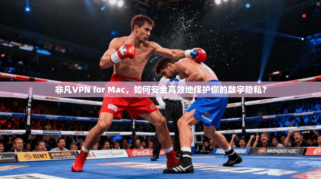 非凡VPN for Mac，如何安全高效地保护你的数字隐私？  第1张