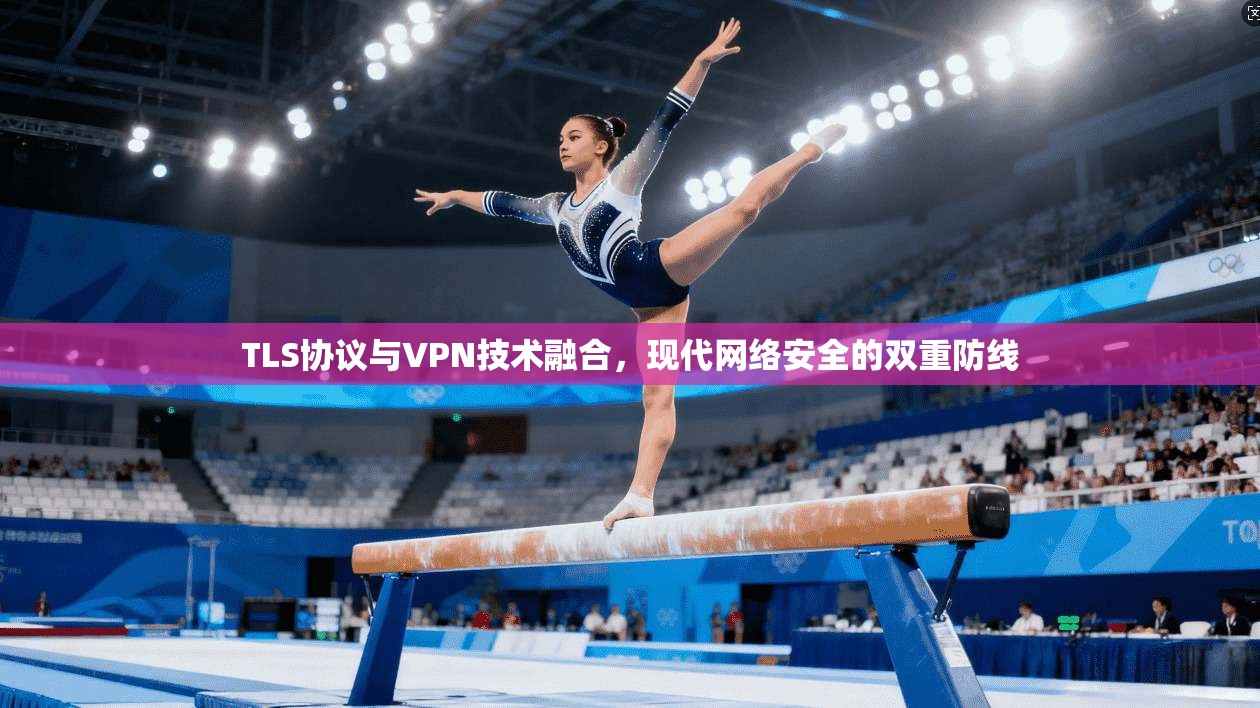 TLS协议与VPN技术融合，现代网络安全的双重防线  第1张