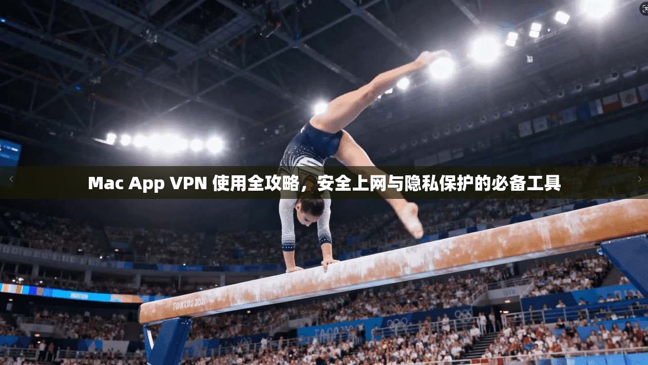 Mac App VPN 使用全攻略，安全上网与隐私保护的必备工具  第1张