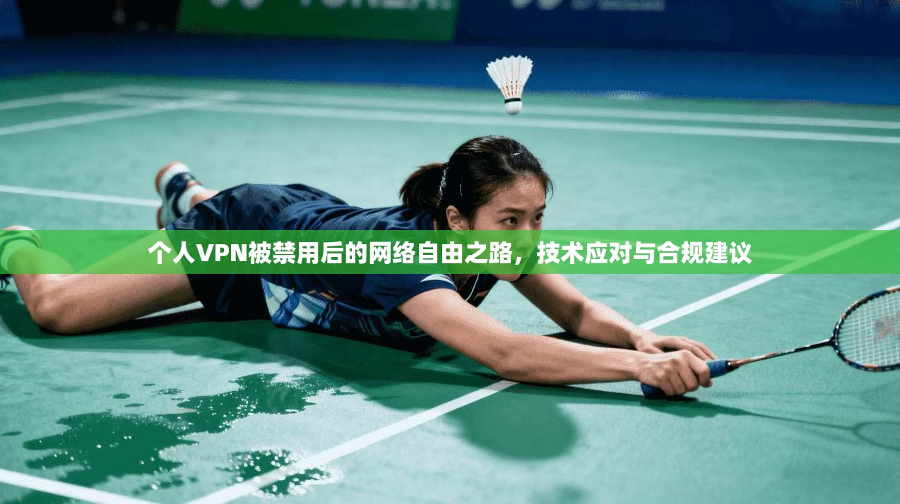 个人VPN被禁用后的网络自由之路，技术应对与合规建议  第1张