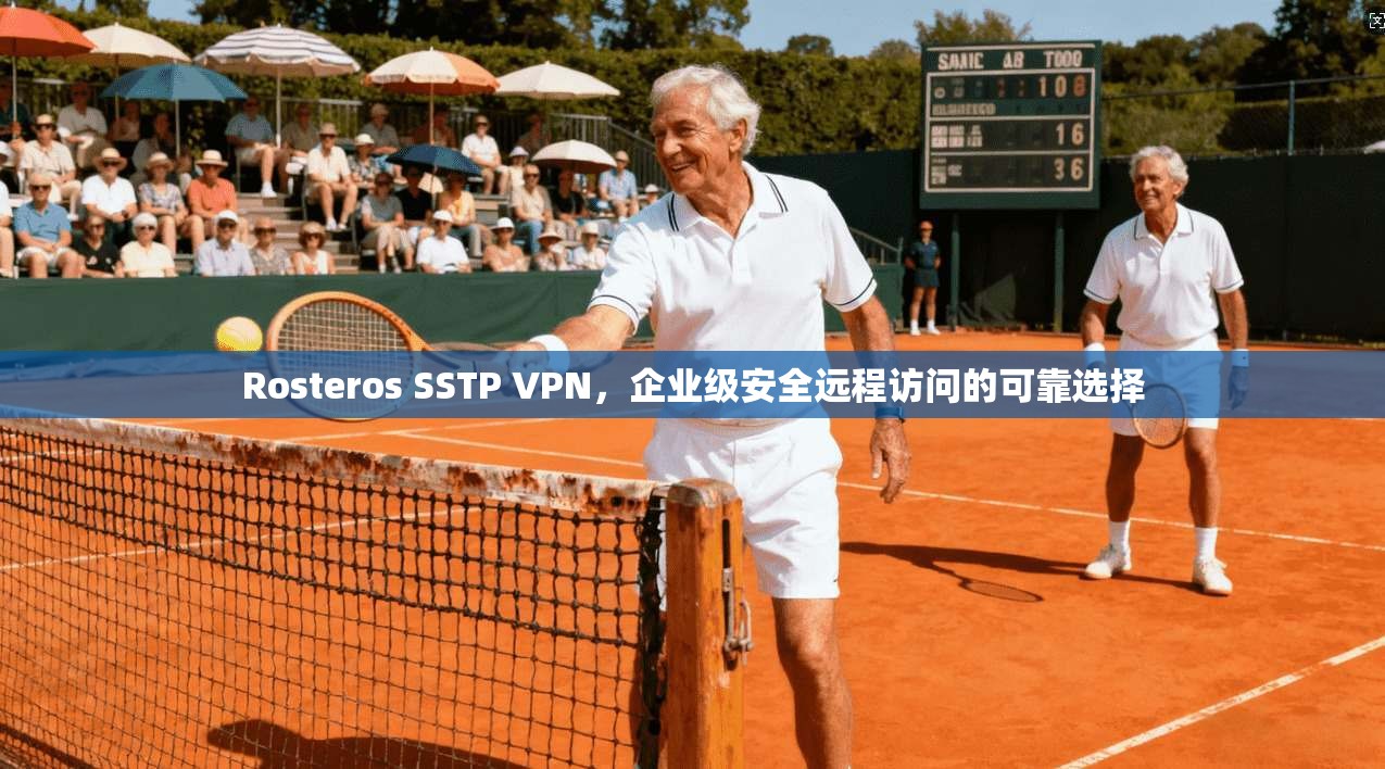 Rosteros SSTP VPN，企业级安全远程访问的可靠选择  第1张