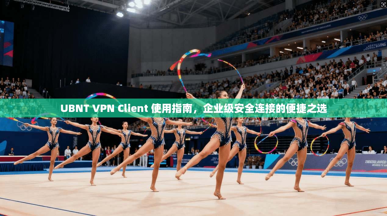 UBNT VPN Client 使用指南，企业级安全连接的便捷之选  第1张