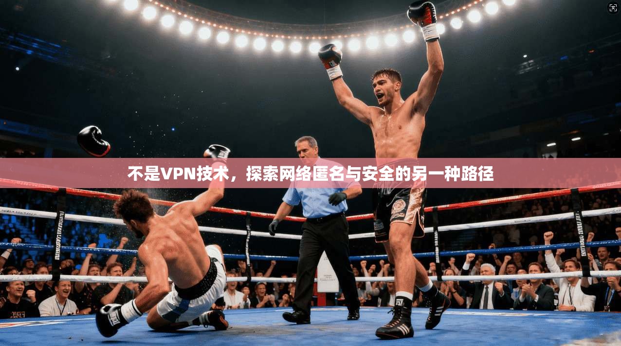 不是VPN技术，探索网络匿名与安全的另一种路径  第1张