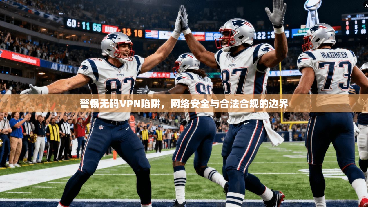 警惕无码VPN陷阱，网络安全与合法合规的边界  第1张