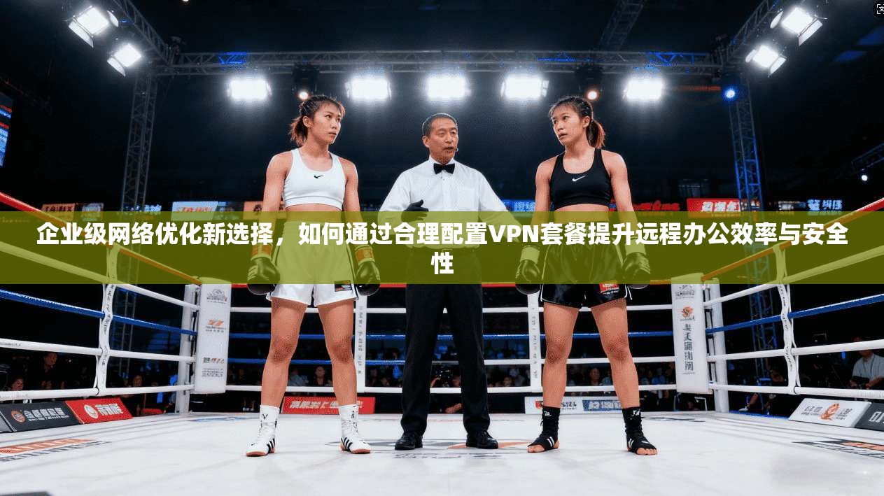 企业级网络优化新选择，如何通过合理配置VPN套餐提升远程办公效率与安全性  第1张