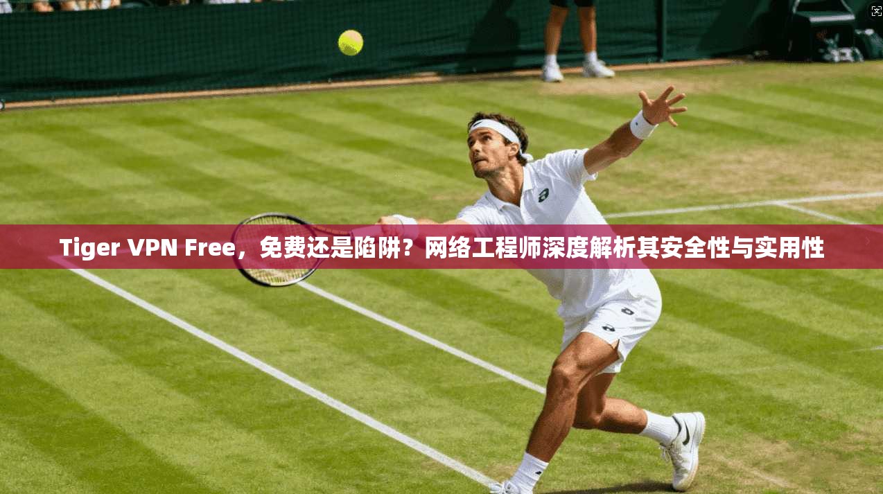 Tiger VPN Free，免费还是陷阱？网络工程师深度解析其安全性与实用性  第1张