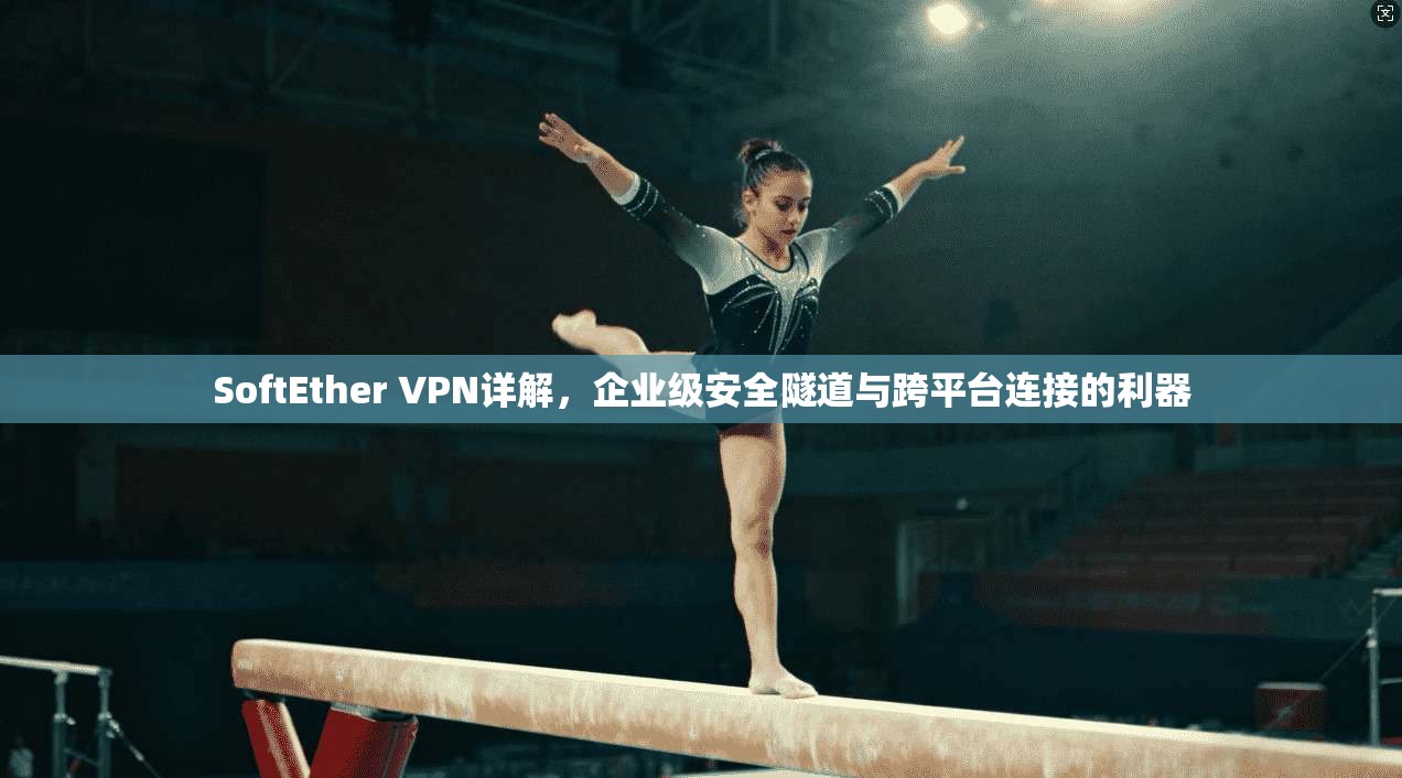 SoftEther VPN详解，企业级安全隧道与跨平台连接的利器  第1张