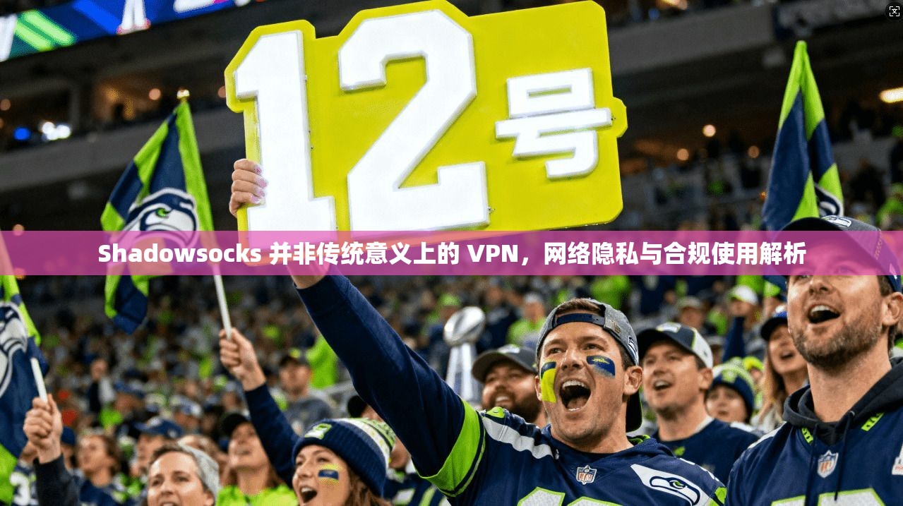 Shadowsocks 并非传统意义上的 VPN，网络隐私与合规使用解析  第1张