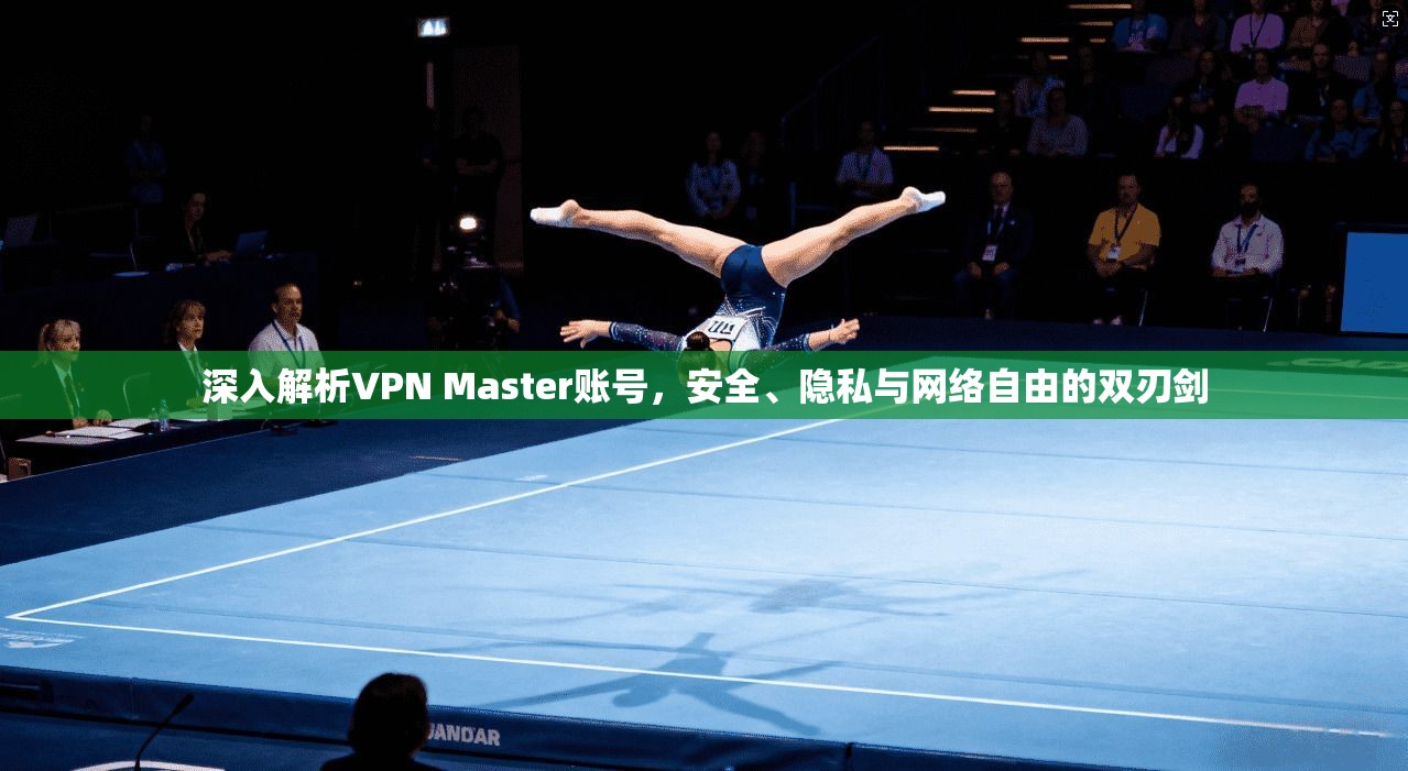 深入解析VPN Master账号，安全、隐私与网络自由的双刃剑  第1张