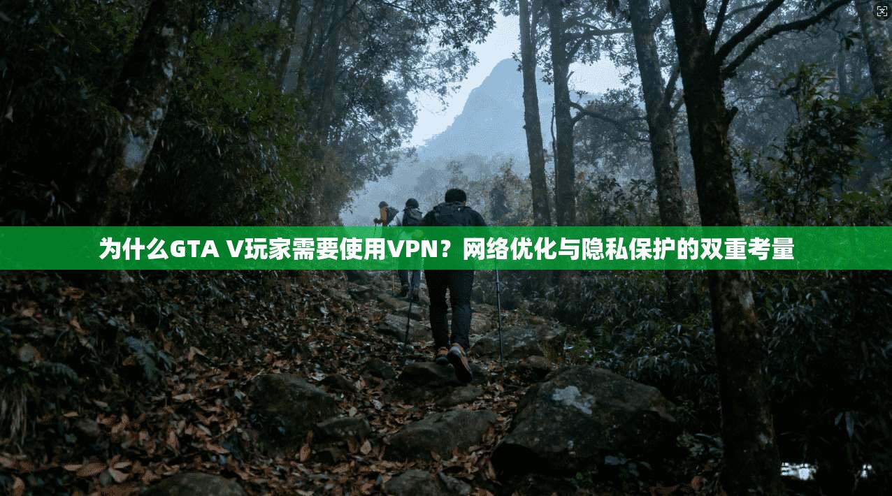 为什么GTA V玩家需要使用VPN？网络优化与隐私保护的双重考量  第1张