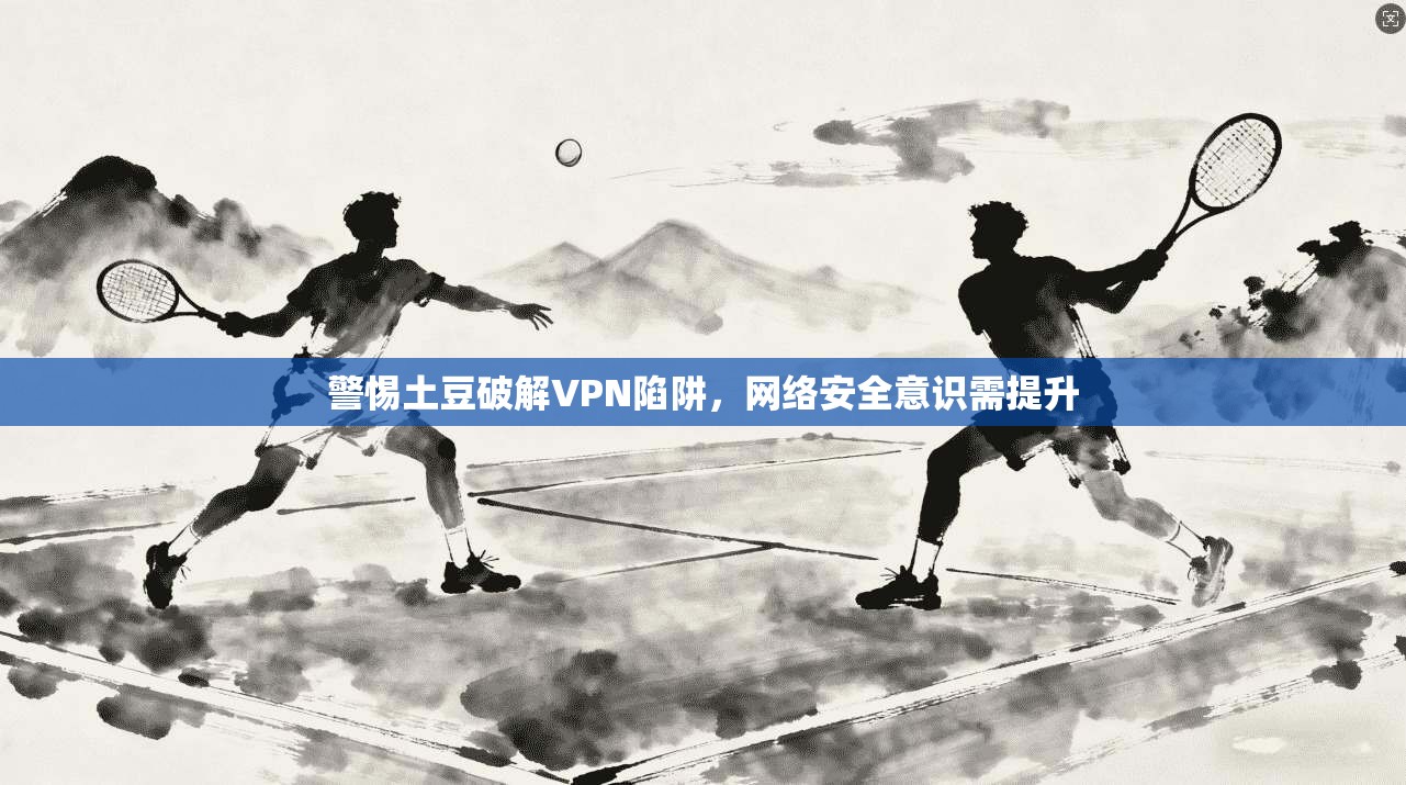 警惕土豆破解VPN陷阱，网络安全意识需提升  第1张