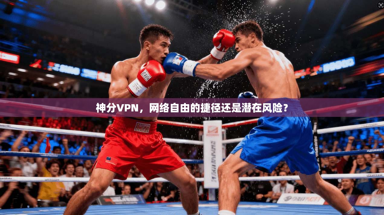 神分VPN,网络自由的捷径还是潜在风险? 第1张 神分VPN,网络自由的捷径还是潜在风险? 第1张