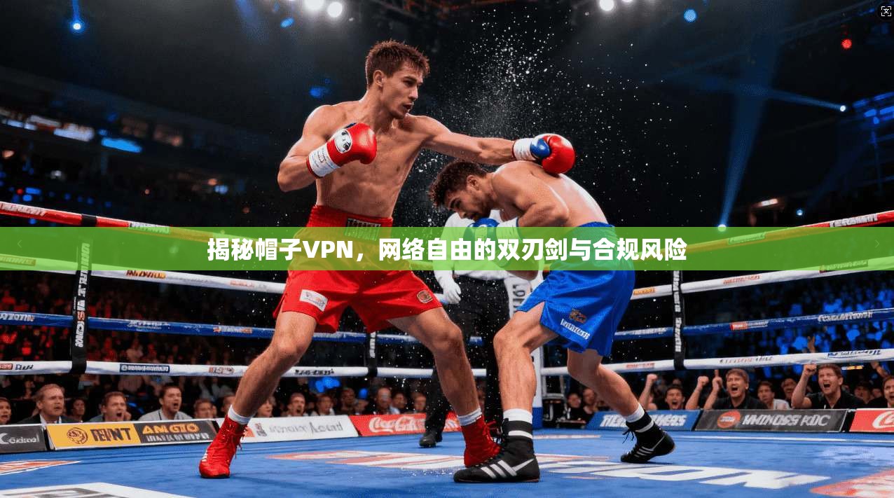 揭秘帽子VPN,网络自由的双刃剑与合规风险 第1张 揭秘帽子VPN,网络自由的双刃剑与合规风险 第1张