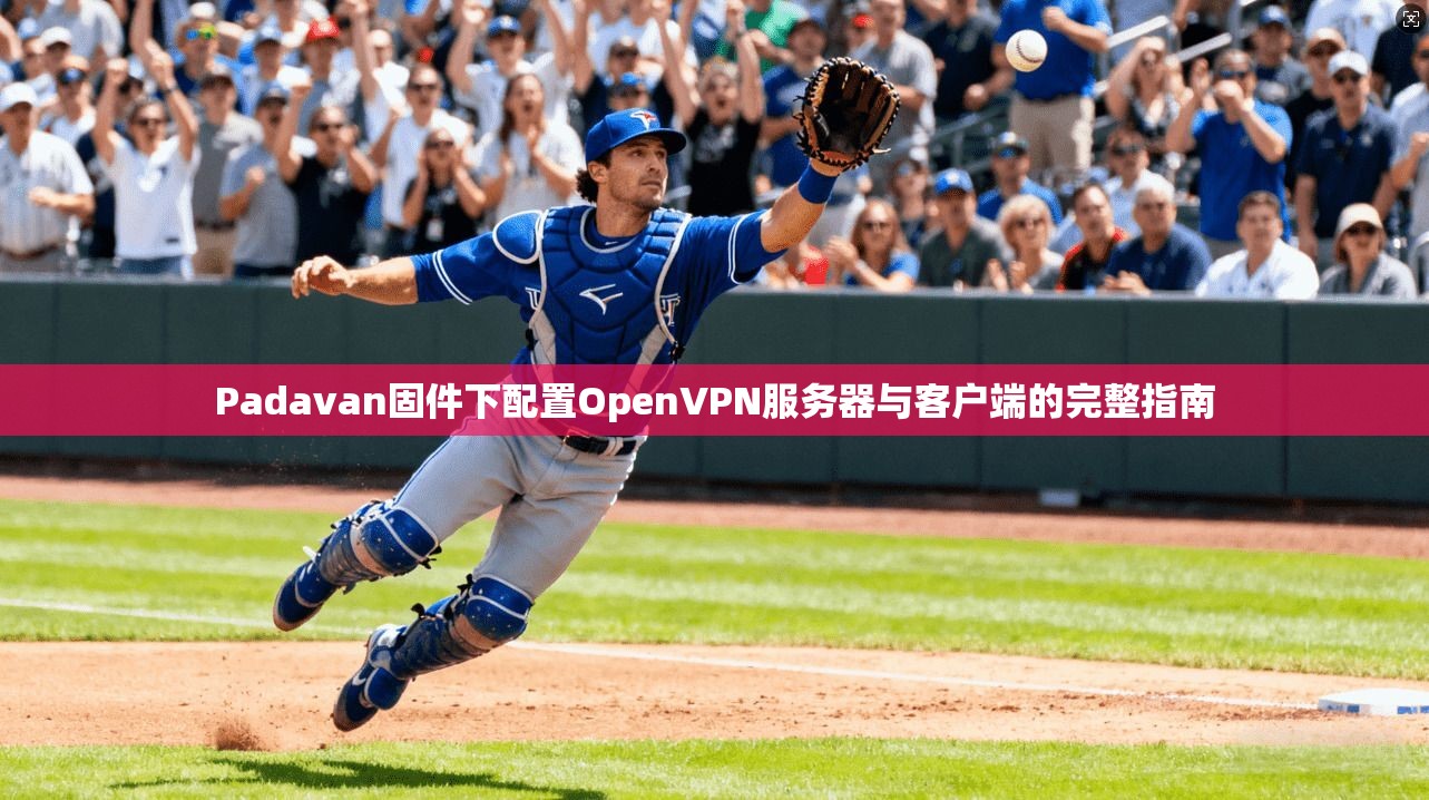 Padavan固件下配置OpenVPN服务器与客户端的完整指南  第1张