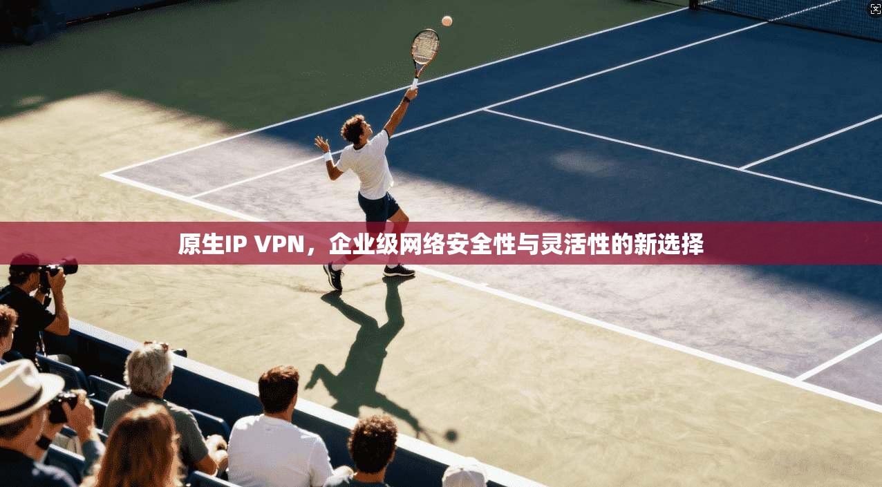 原生IP VPN,企业级网络安全性与灵活性的新选择 第1张 原生IP VPN,企业级网络安全性与灵活性的新选择 第1张