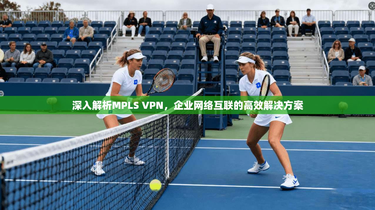 深入解析MPLS VPN,企业网络互联的高效解决方案 第1张 深入解析MPLS VPN,企业网络互联的高效解决方案 第1张