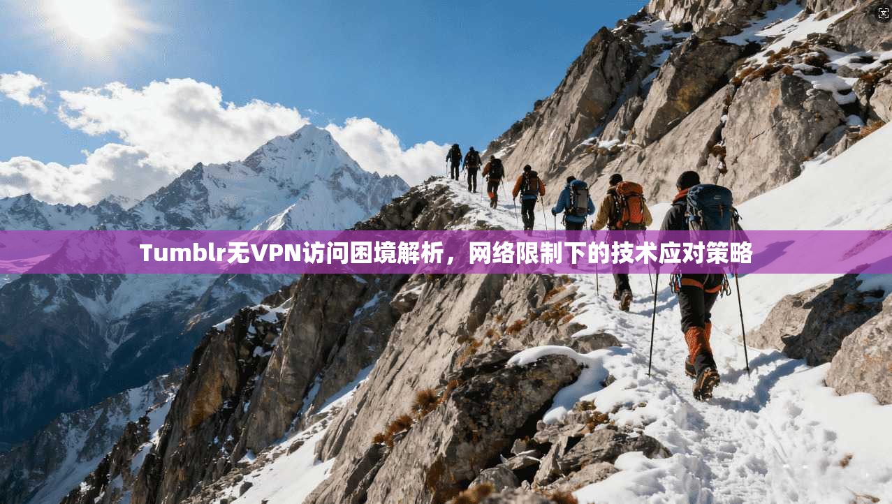 Tumblr无VPN访问困境解析,网络限制下的技术应对策略 第1张 Tumblr无VPN访问困境解析,网络限制下的技术应对策略 第1张