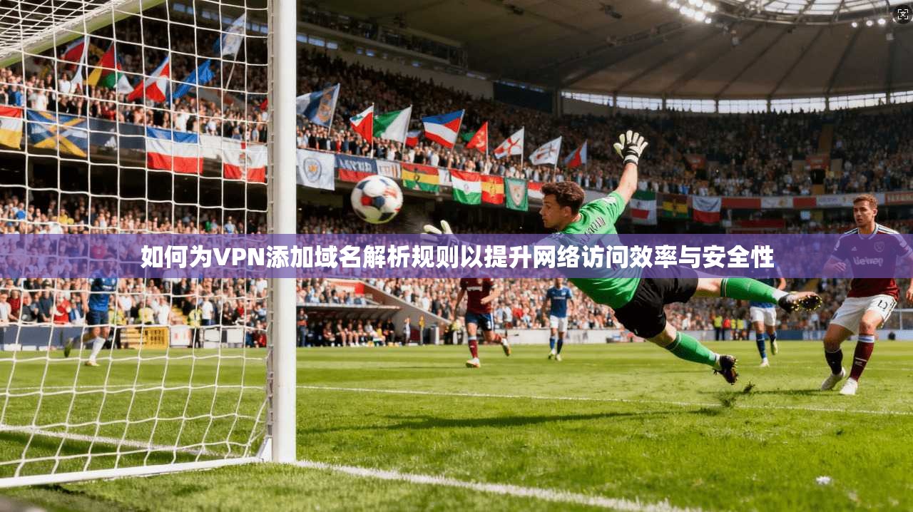 如何为VPN添加域名解析规则以提升网络访问效率与安全性  第1张