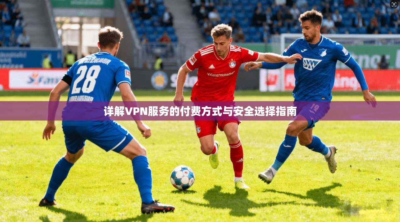 详解VPN服务的付费方式与安全选择指南  第1张