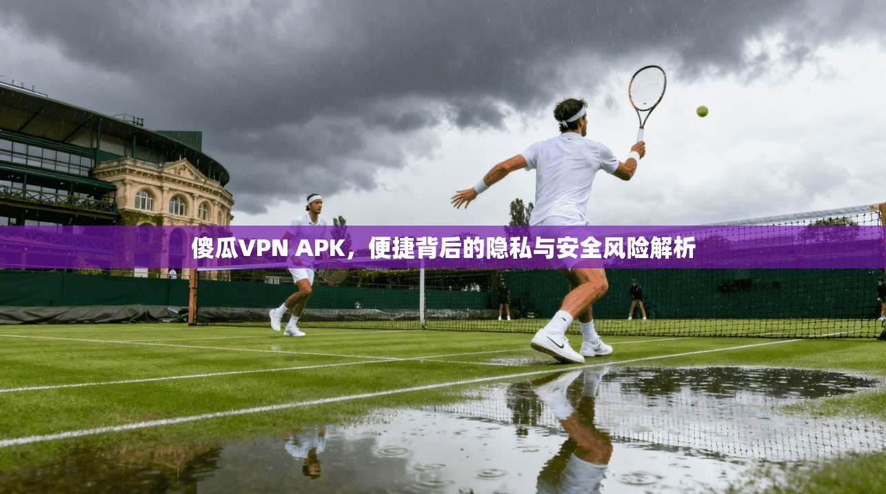 傻瓜VPN APK，便捷背后的隐私与安全风险解析  第1张