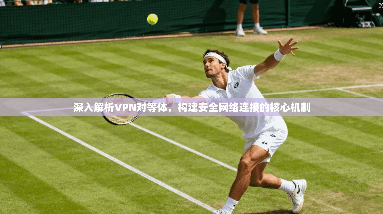 深入解析VPN对等体,构建安全网络连接的核心机制 第1张 深入解析VPN对等体,构建安全网络连接的核心机制 第1张