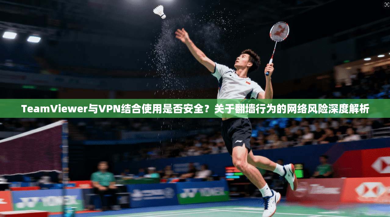 TeamViewer与VPN结合使用是否安全?关于翻墙行为的网络风险深度解析 第1张 TeamViewer与VPN结合使用是否安全?关于翻墙行为的网络风险深度解析 第1张