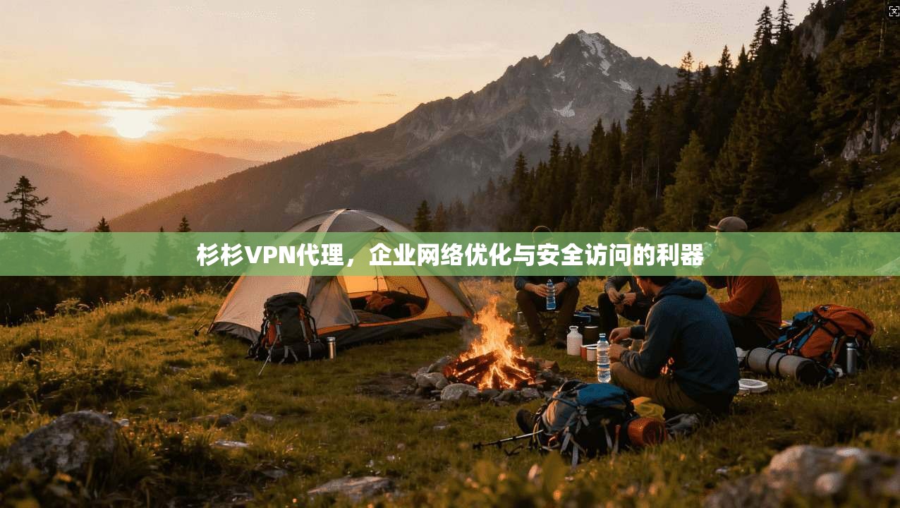 杉杉VPN代理，企业网络优化与安全访问的利器  第1张