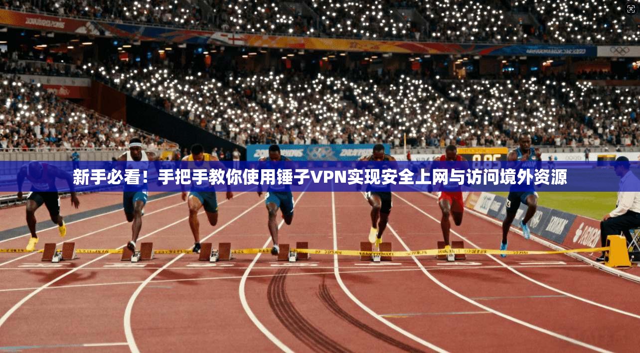 新手必看!手把手教你使用锤子VPN实现安全上网与访问境外资源 第1张 新手必看!手把手教你使用锤子VPN实现安全上网与访问境外资源 第1张