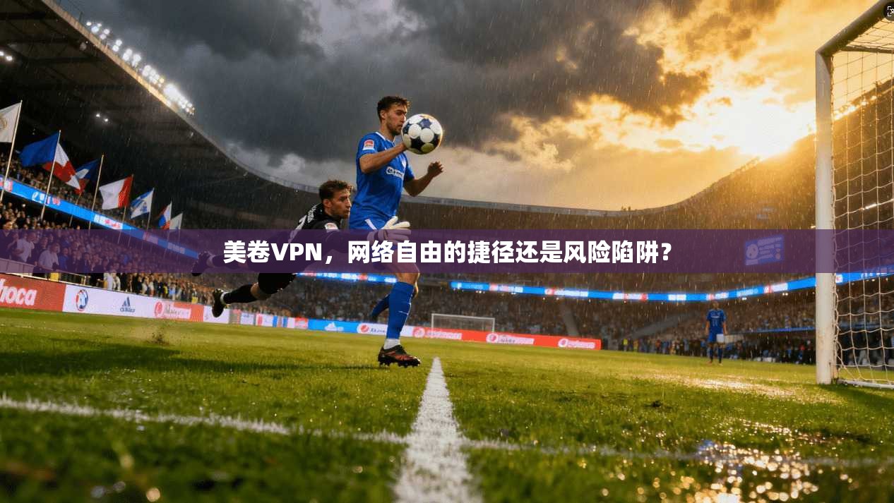 美卷VPN，网络自由的捷径还是风险陷阱？  第1张