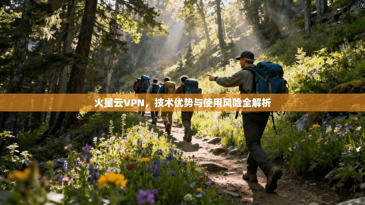 火星云VPN，技术优势与使用风险全解析  第1张