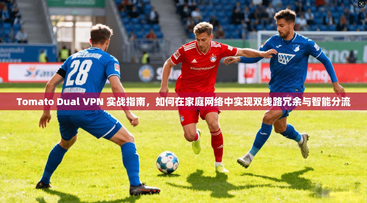 Tomato Dual VPN 实战指南，如何在家庭网络中实现双线路冗余与智能分流  第1张