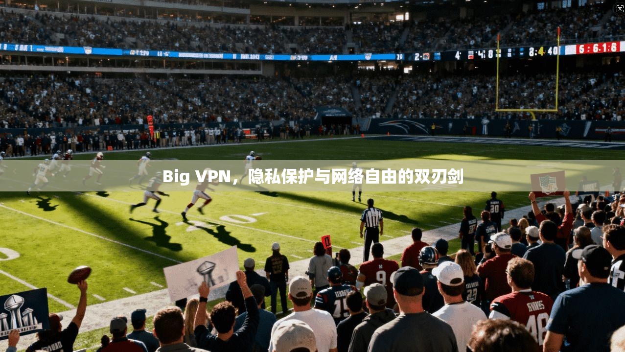 Big VPN，隐私保护与网络自由的双刃剑  第1张