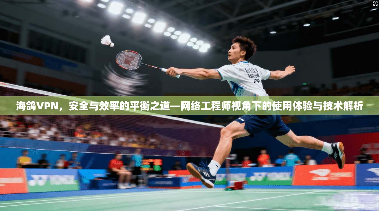 海鸽VPN，安全与效率的平衡之道—网络工程师视角下的使用体验与技术解析  第1张