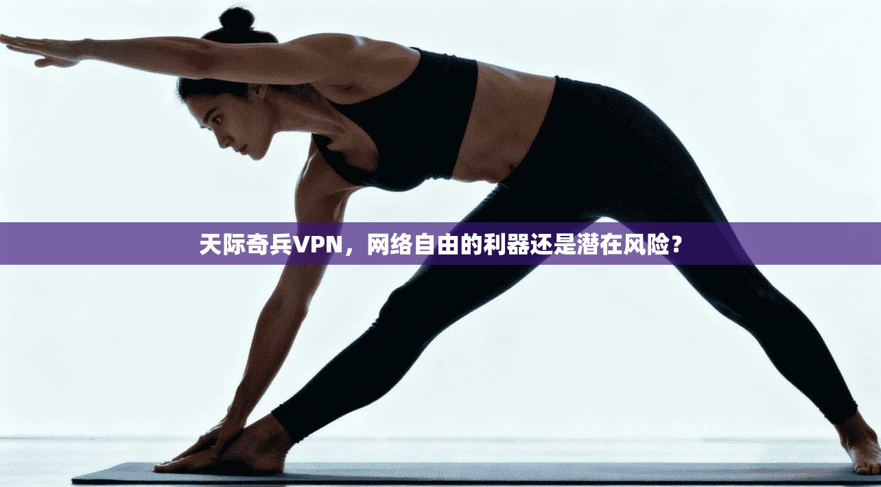 天际奇兵VPN，网络自由的利器还是潜在风险？  第1张
