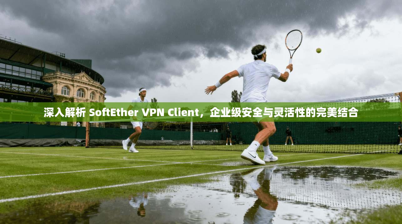 深入解析 SoftEther VPN Client,企业级安全与灵活性的完美结合 第1张 深入解析 SoftEther VPN Client,企业级安全与灵活性的完美结合 第1张