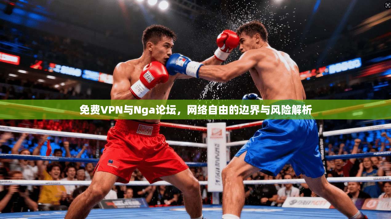 免费VPN与Nga论坛，网络自由的边界与风险解析  第1张