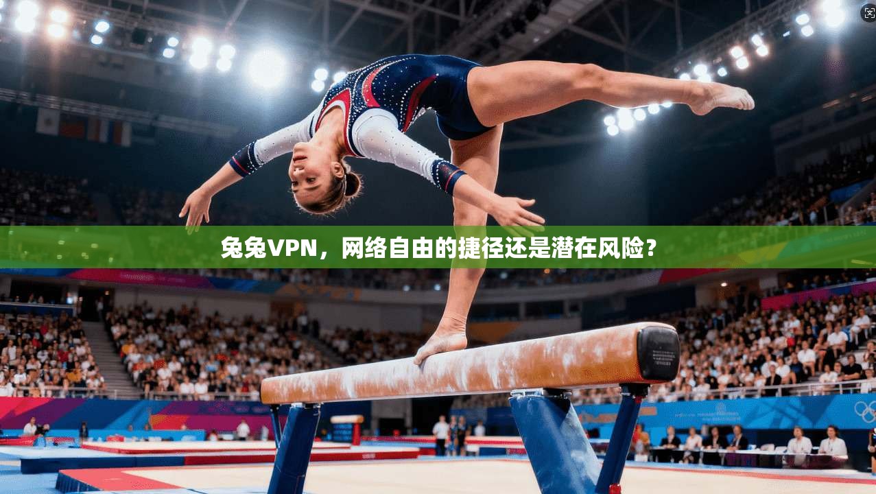 兔兔VPN,网络自由的捷径还是潜在风险? 第1张 兔兔VPN,网络自由的捷径还是潜在风险? 第1张