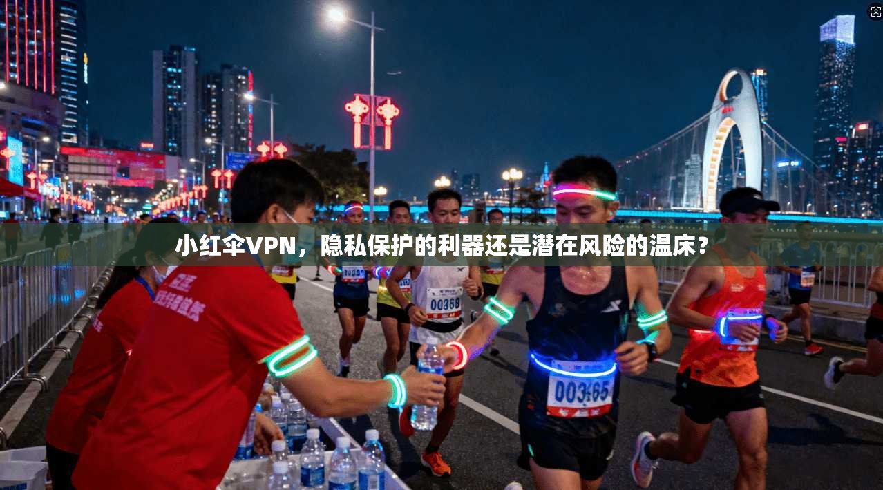 小红伞VPN，隐私保护的利器还是潜在风险的温床？  第1张