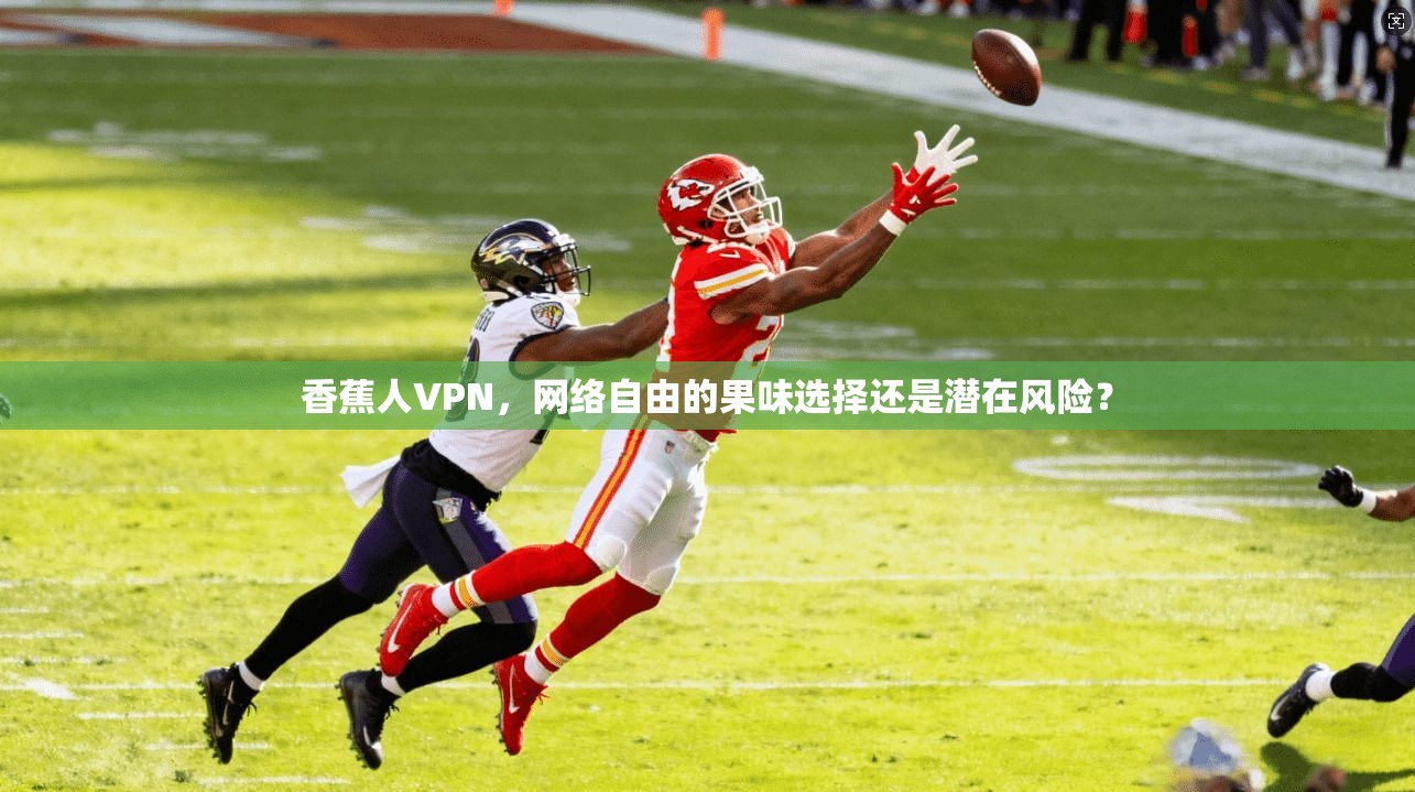香蕉人VPN,网络自由的果味选择还是潜在风险? 第1张 香蕉人VPN,网络自由的果味选择还是潜在风险? 第1张