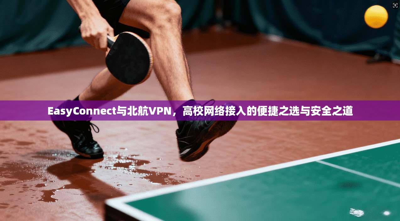 EasyConnect与北航VPN,高校网络接入的便捷之选与安全之道 第1张 EasyConnect与北航VPN,高校网络接入的便捷之选与安全之道 第1张