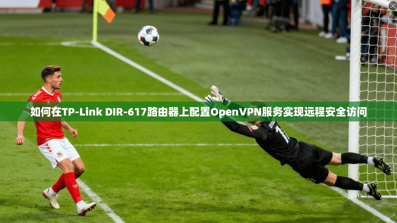 如何在TP-Link DIR-617路由器上配置OpenVPN服务实现远程安全访问 第1张 如何在TP-Link DIR-617路由器上配置OpenVPN服务实现远程安全访问 第1张