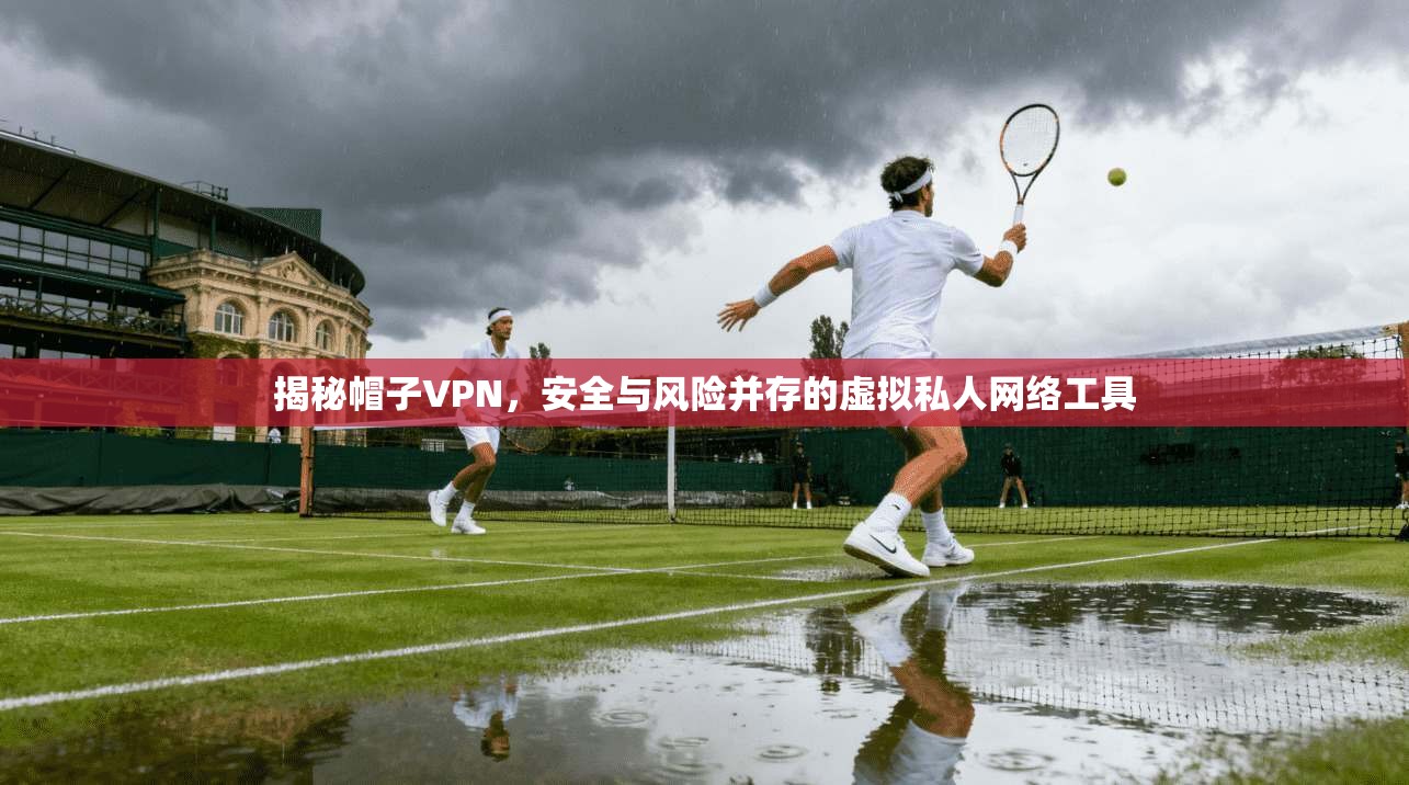 揭秘帽子VPN,安全与风险并存的虚拟私人网络工具 第1张 揭秘帽子VPN,安全与风险并存的虚拟私人网络工具 第1张