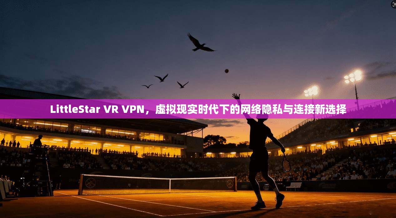 LittleStar VR VPN，虚拟现实时代下的网络隐私与连接新选择  第1张