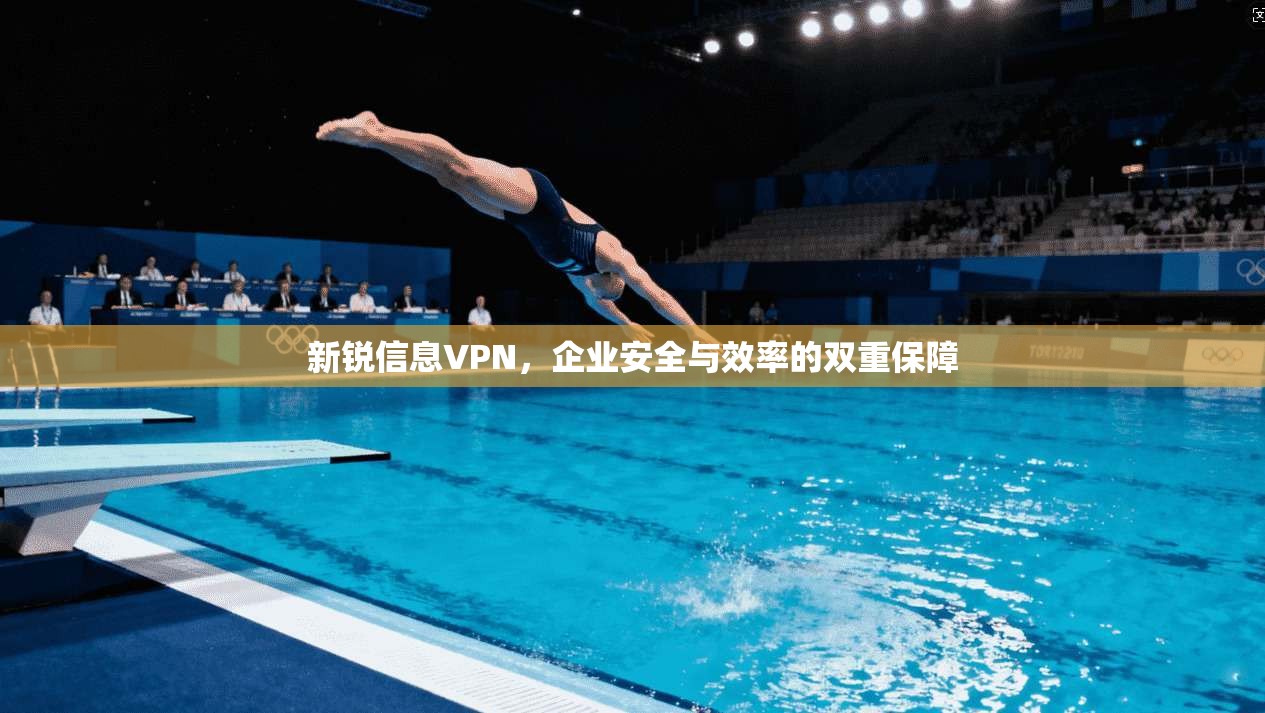 新锐信息VPN，企业安全与效率的双重保障  第1张