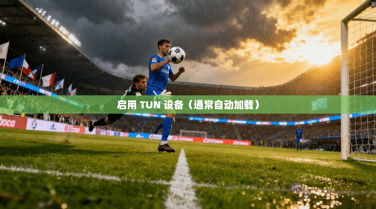 启用 TUN 设备（通常自动加载）  第1张