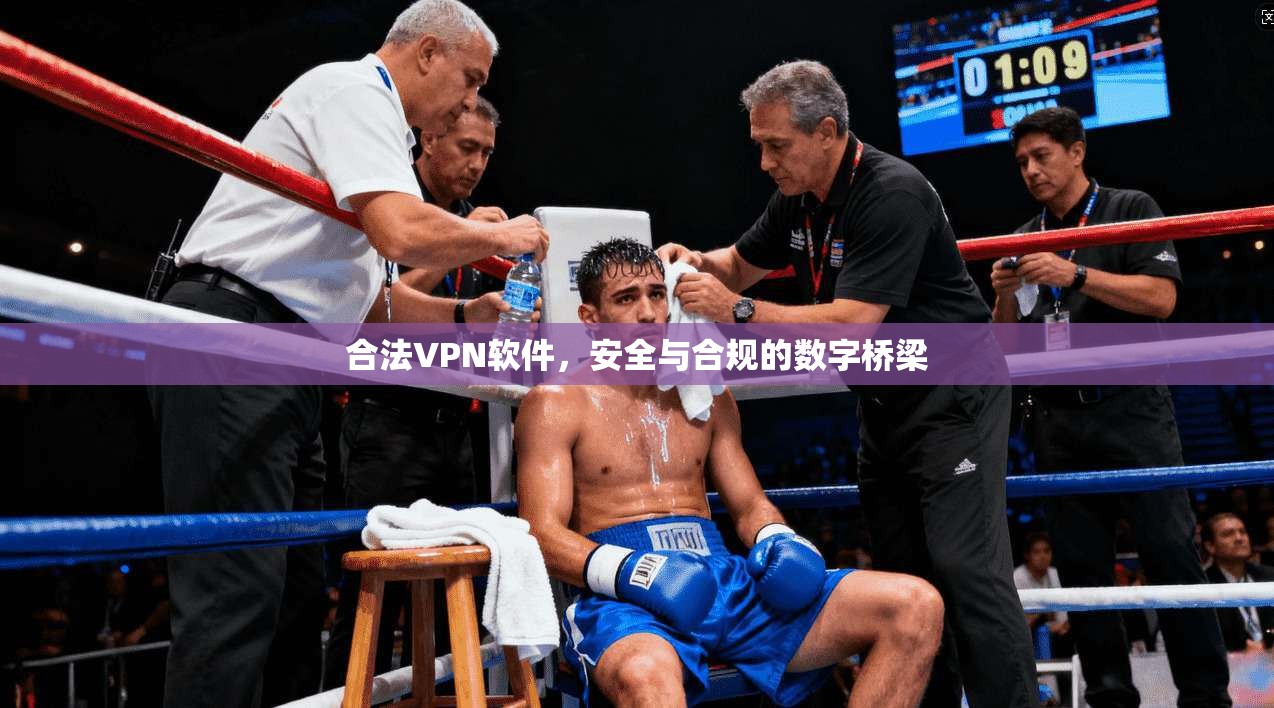 合法VPN软件,安全与合规的数字桥梁 第1张 合法VPN软件,安全与合规的数字桥梁 第1张