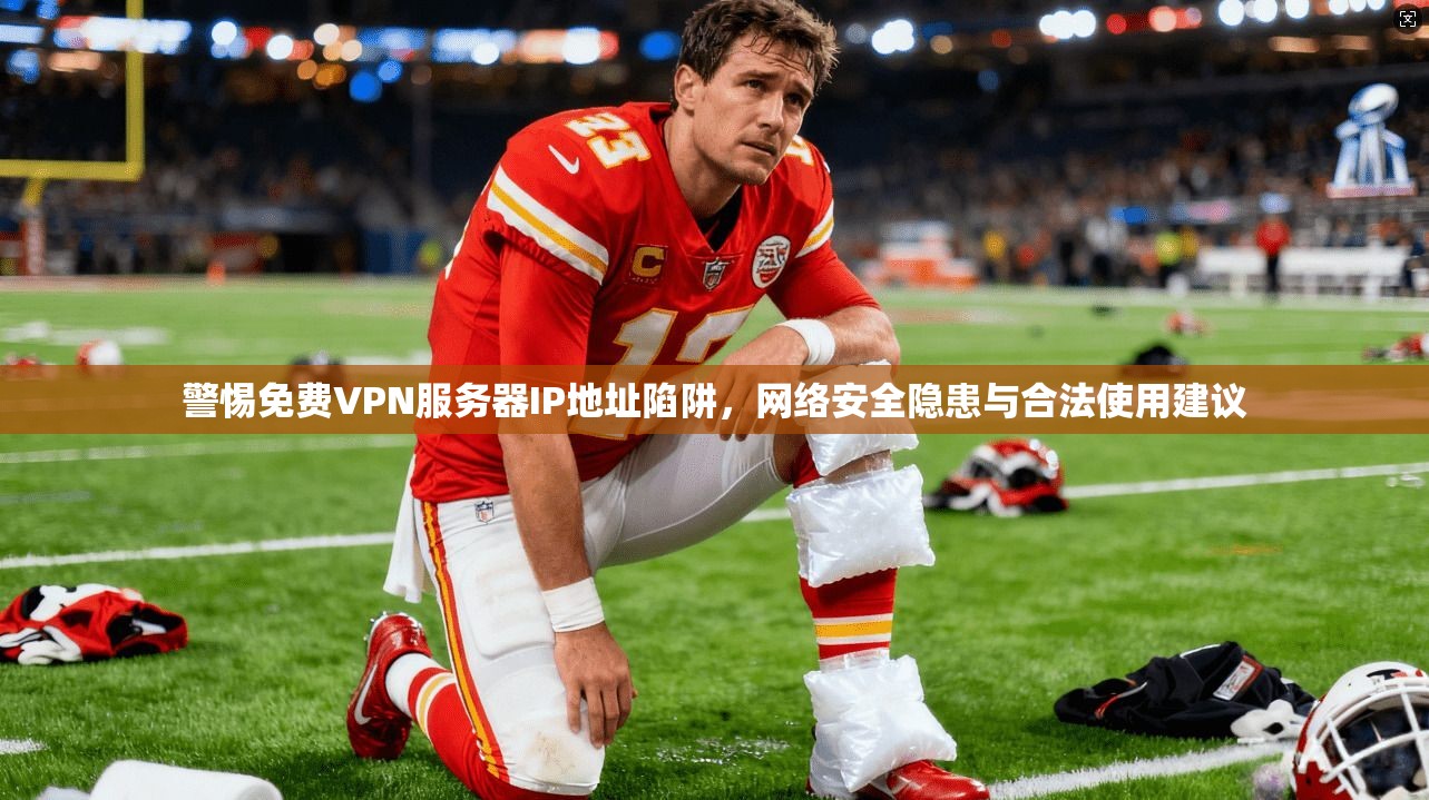 警惕免费VPN服务器IP地址陷阱，网络安全隐患与合法使用建议  第1张